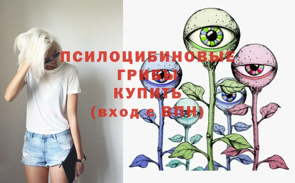 спиды Абаза
