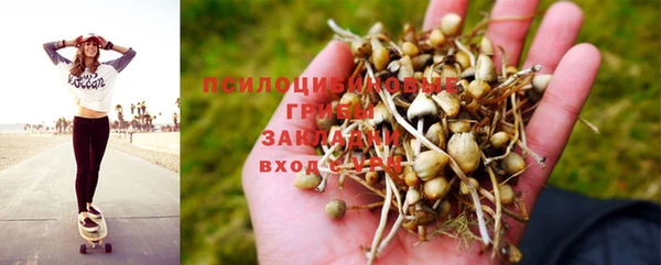 дурь Абинск